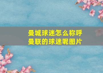 曼城球迷怎么称呼曼联的球迷呢图片