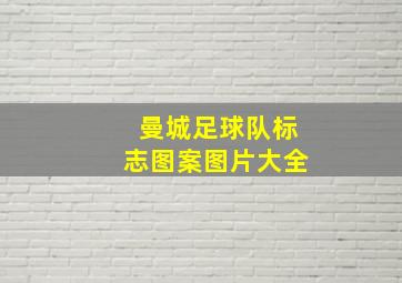 曼城足球队标志图案图片大全