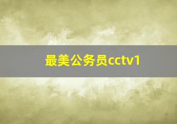 最美公务员cctv1