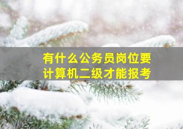 有什么公务员岗位要计算机二级才能报考