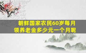 朝鲜国家农民60岁每月领养老金多少元一个月呢