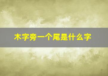 木字旁一个尾是什么字