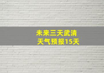 未来三天武清天气预报15天