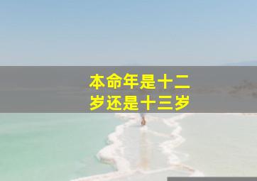 本命年是十二岁还是十三岁