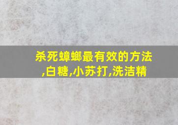 杀死蟑螂最有效的方法,白糖,小苏打,洗洁精