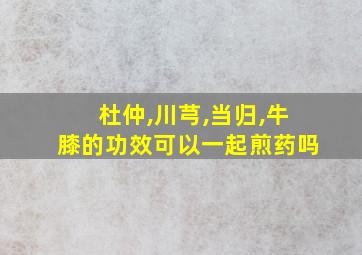 杜仲,川芎,当归,牛膝的功效可以一起煎药吗