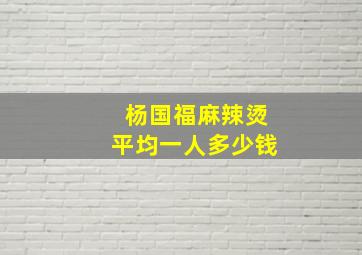 杨国福麻辣烫平均一人多少钱