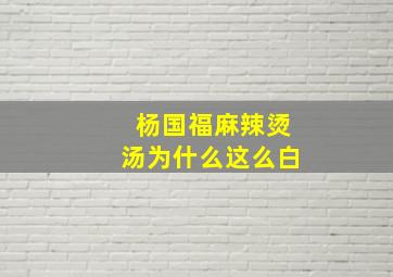 杨国福麻辣烫汤为什么这么白