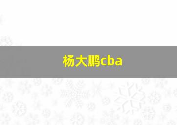 杨大鹏cba