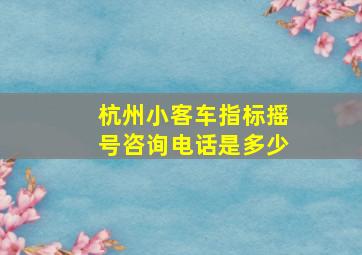 杭州小客车指标摇号咨询电话是多少