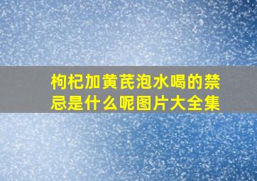 枸杞加黄芪泡水喝的禁忌是什么呢图片大全集