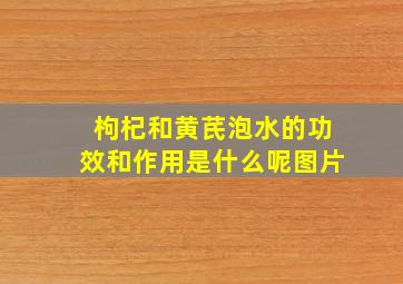 枸杞和黄芪泡水的功效和作用是什么呢图片