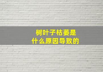 树叶子枯萎是什么原因导致的