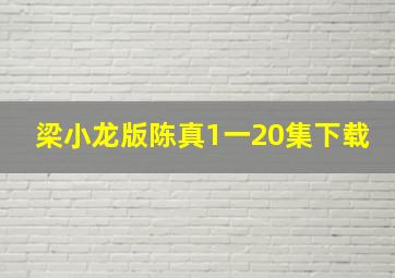 梁小龙版陈真1一20集下载