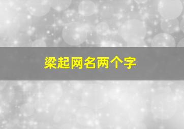 梁起网名两个字