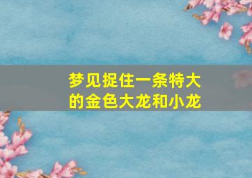 梦见捉住一条特大的金色大龙和小龙