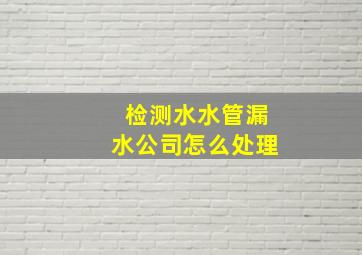 检测水水管漏水公司怎么处理