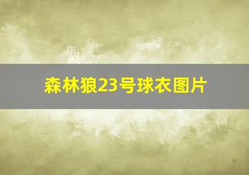 森林狼23号球衣图片