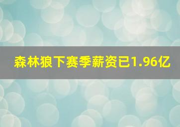 森林狼下赛季薪资已1.96亿