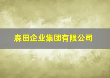 森田企业集团有限公司