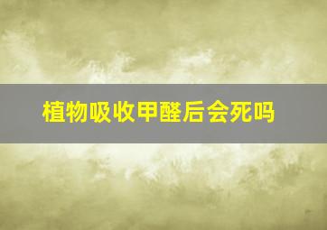 植物吸收甲醛后会死吗