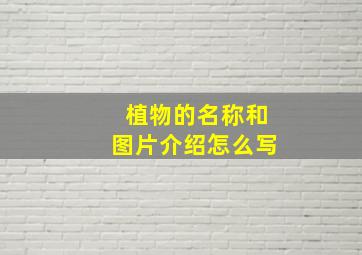 植物的名称和图片介绍怎么写