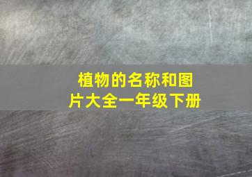 植物的名称和图片大全一年级下册