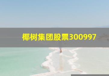 椰树集团股票300997