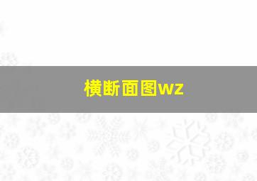 横断面图wz