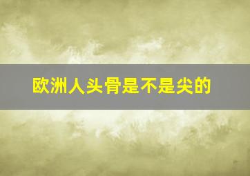 欧洲人头骨是不是尖的