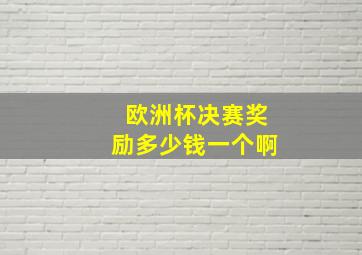 欧洲杯决赛奖励多少钱一个啊