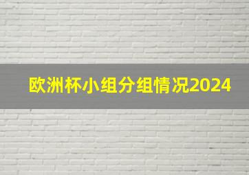 欧洲杯小组分组情况2024