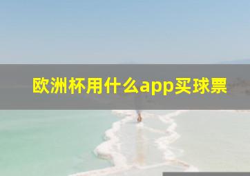 欧洲杯用什么app买球票