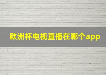 欧洲杯电视直播在哪个app