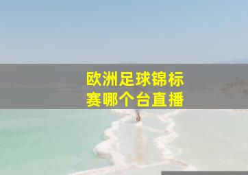 欧洲足球锦标赛哪个台直播