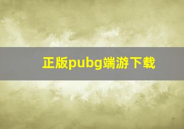 正版pubg端游下载