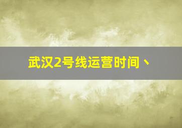 武汉2号线运营时间丶