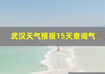 武汉天气预报15天查询气