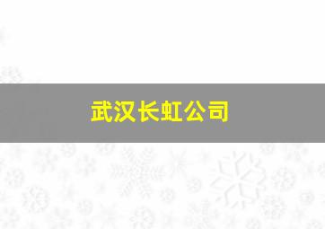 武汉长虹公司