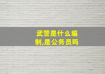 武警是什么编制,是公务员吗