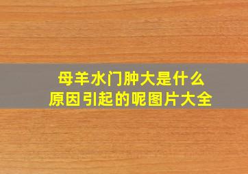 母羊水门肿大是什么原因引起的呢图片大全