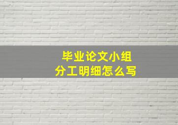 毕业论文小组分工明细怎么写