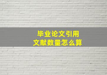 毕业论文引用文献数量怎么算