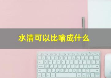 水清可以比喻成什么