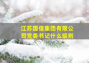 江苏国信集团有限公司党委书记什么级别