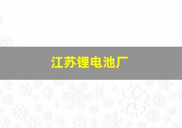 江苏锂电池厂