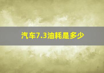 汽车7.3油耗是多少