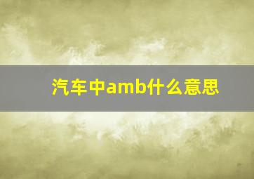 汽车中amb什么意思