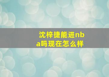 沈梓捷能进nba吗现在怎么样