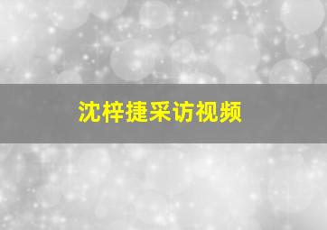 沈梓捷采访视频